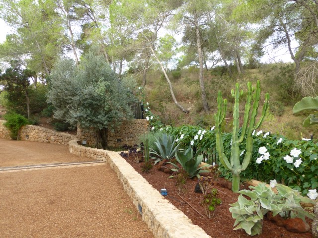 construir jardib en Denia